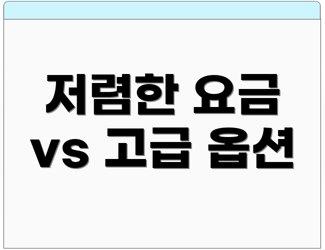 저렴한 요금 vs 고급 옵션