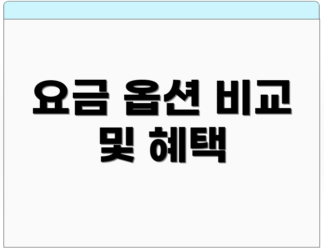 요금 옵션 비교 및 혜택