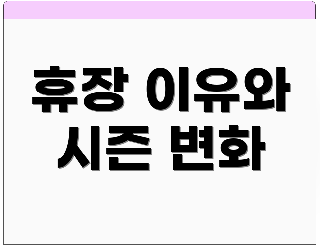 휴장 이유와 시즌 변화