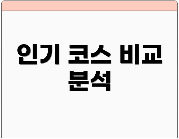 인기 코스 비교 분석