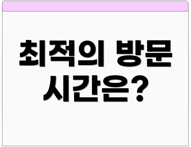 최적의 방문 시간은?