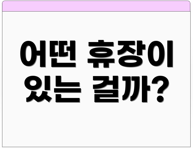 어떤 휴장이 있는 걸까?