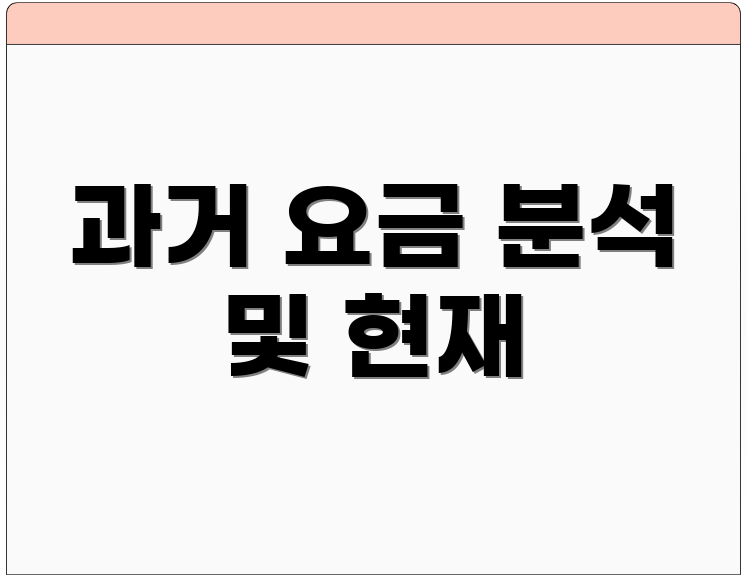 과거 요금 분석 및 현재