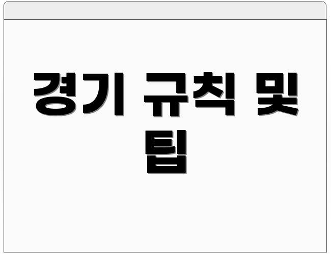 경기 규칙 및 팁