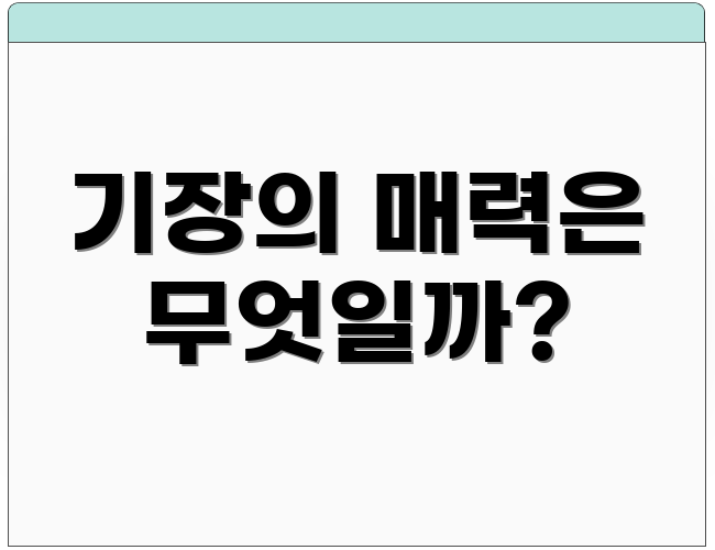 기장의 매력은 무엇일까?