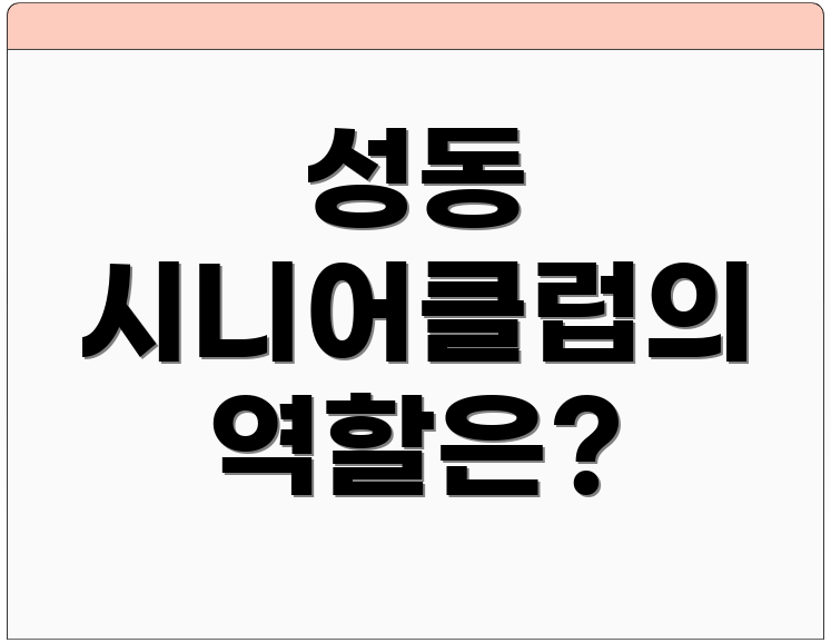 성동 시니어클럽의 역할은?