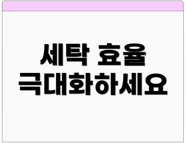 세탁 효율 극대화하세요