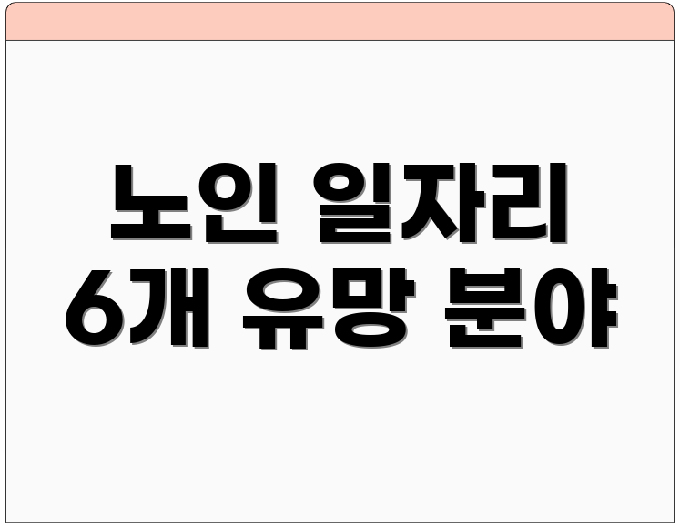 노인 일자리 6개 유망 분야