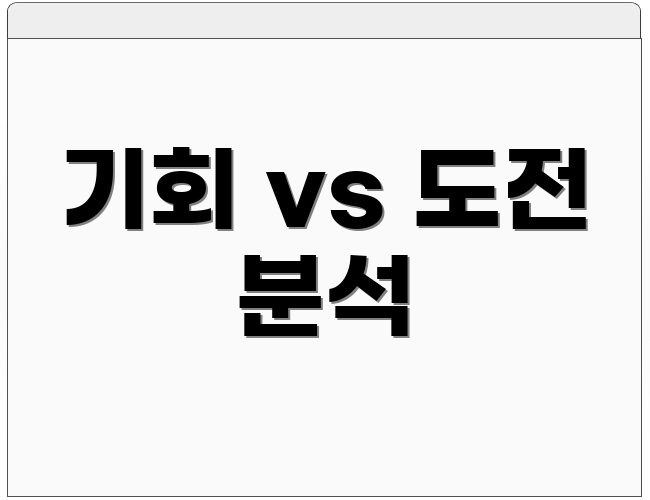 기회 vs 도전 분석