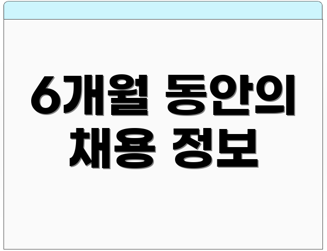 6개월 동안의 채용 정보