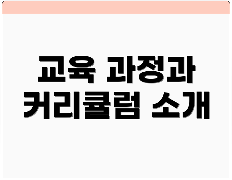 교육 과정과 커리큘럼 소개