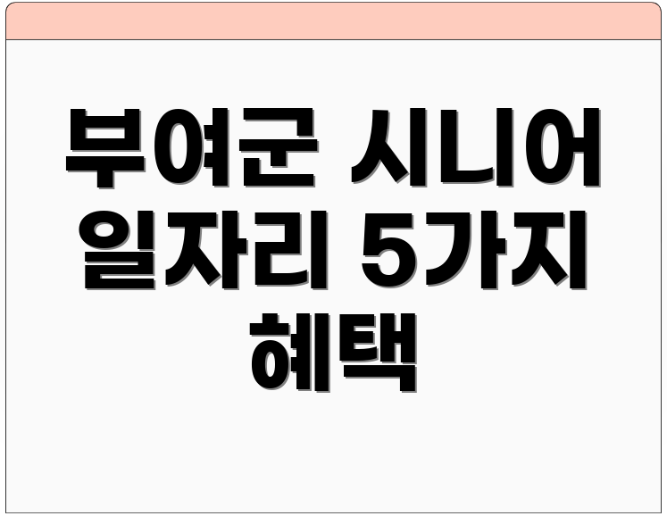 부여군 시니어 일자리 5가지 혜택