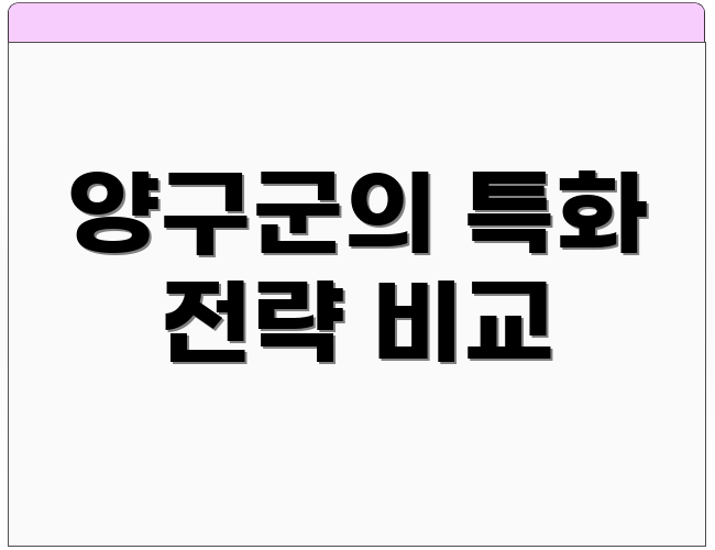 양구군의 특화 전략 비교