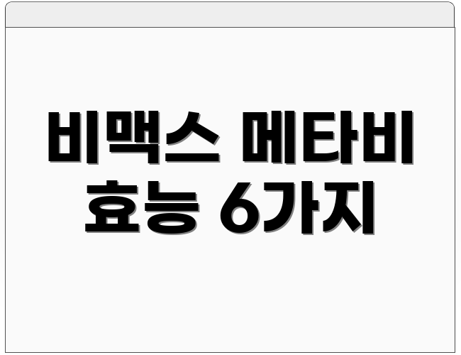 비맥스 메타비 효능 6가지