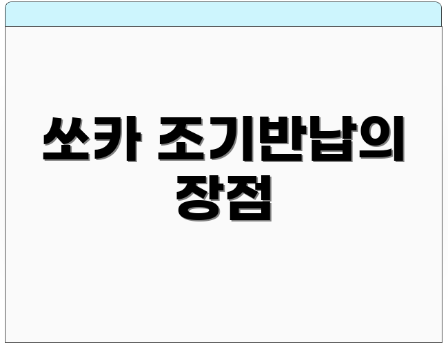 쏘카 조기반납의 장점