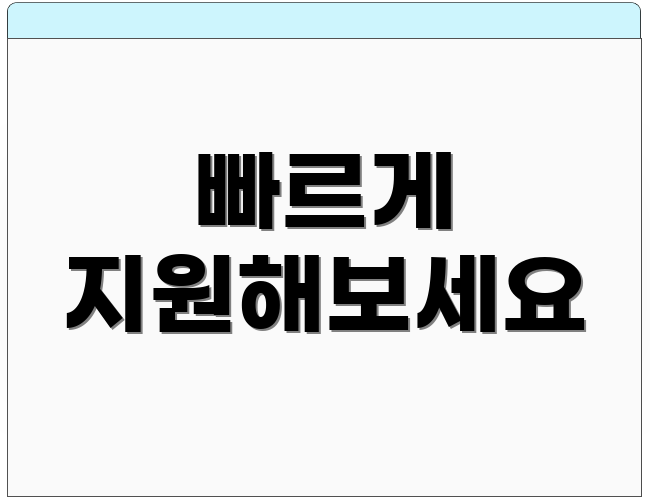 빠르게 지원해보세요