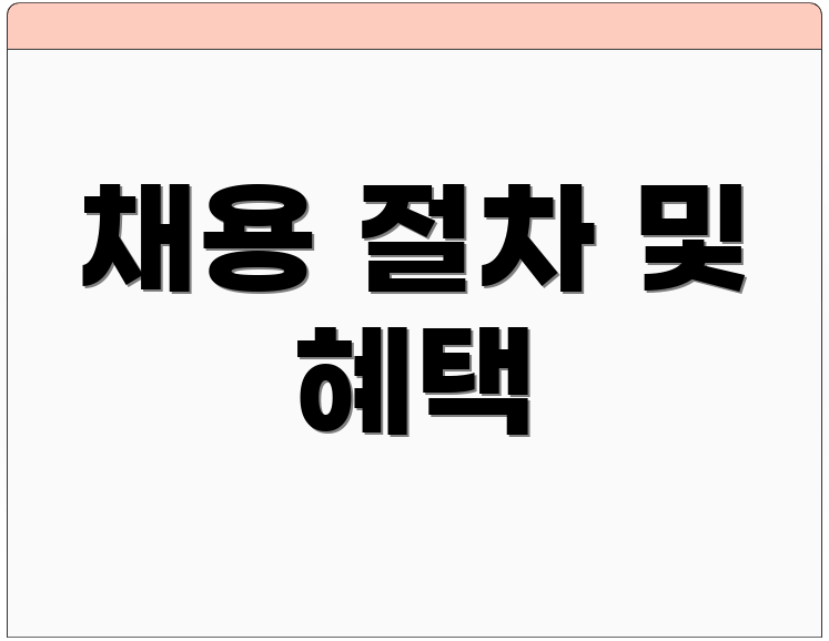 채용 절차 및 혜택