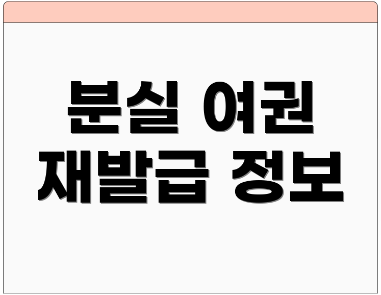 분실 여권 재발급 정보
