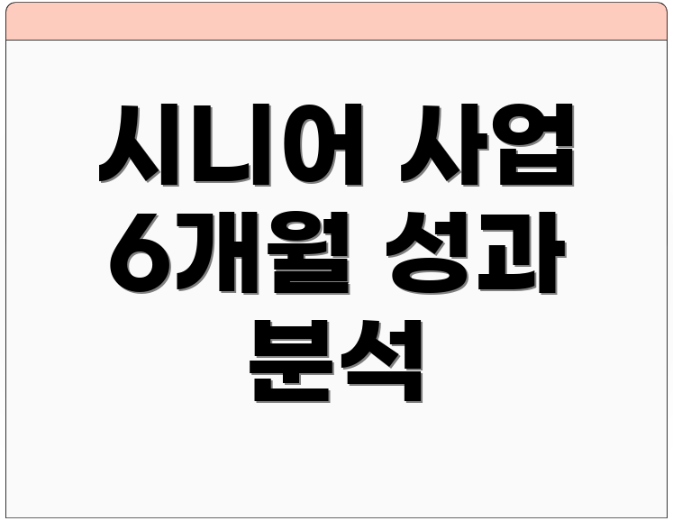 시니어 사업 6개월 성과 분석