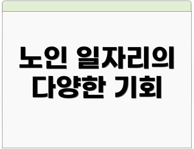 노인 일자리의 다양한 기회