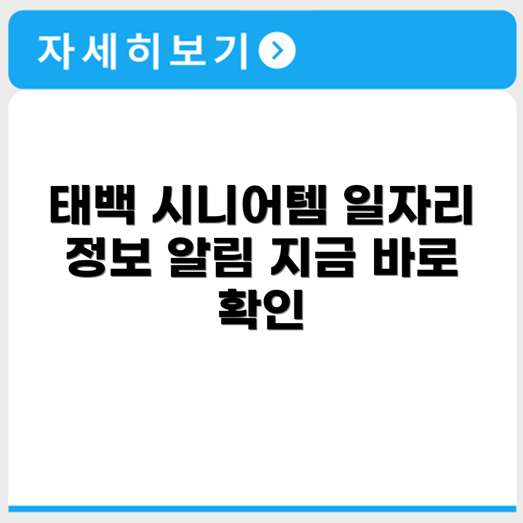 강원도 태백 시니어클럽 노인 시니어 일자리 사업 채용정보 홈페이지