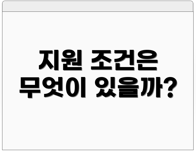 지원 조건은 무엇이 있을까?