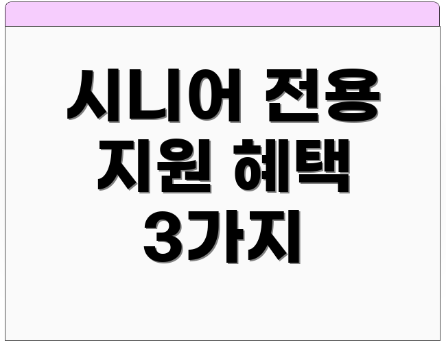 시니어 전용 지원 혜택 3가지