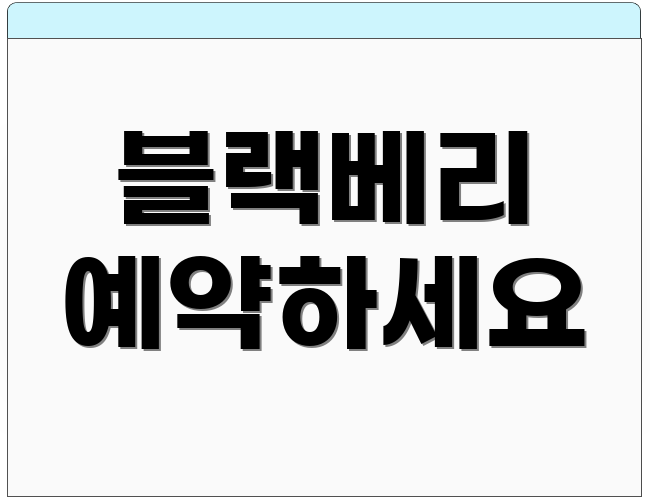 블랙베리 예약하세요