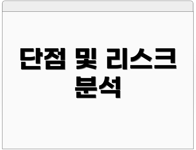 단점 및 리스크 분석