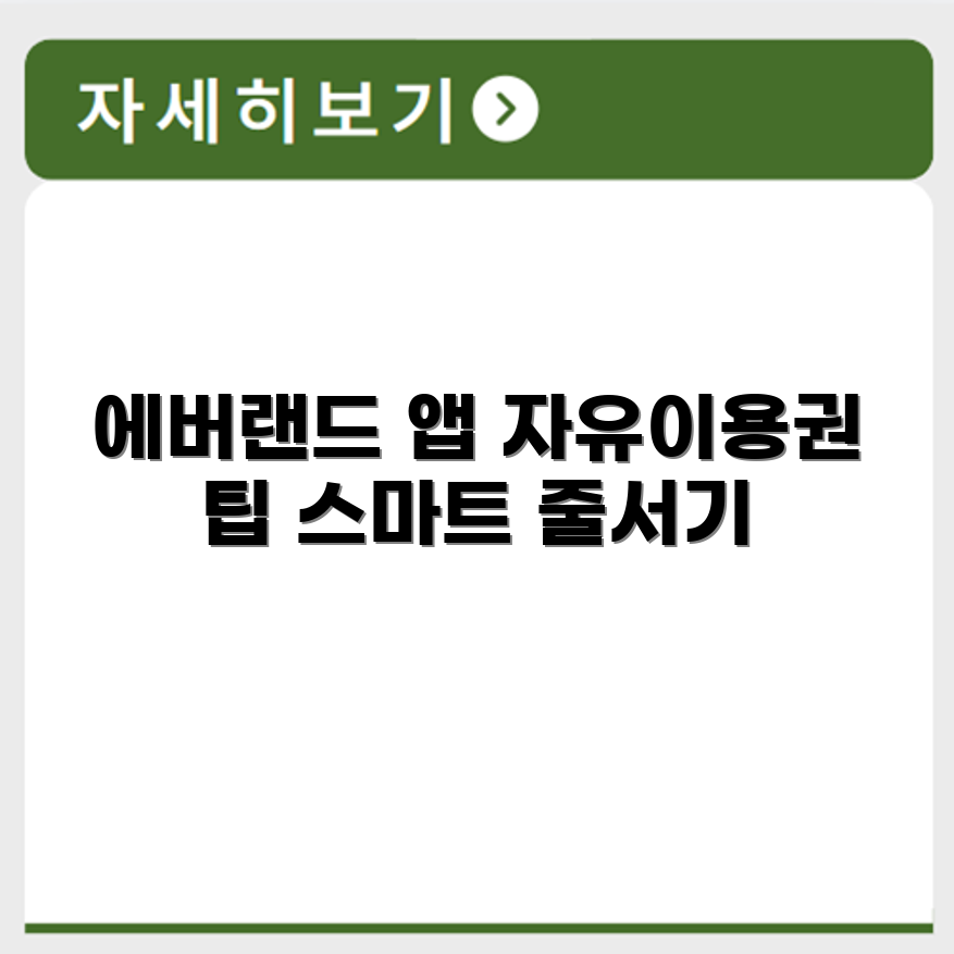 에버랜드 앱 설치 방법 자유이용권 스마트줄서기