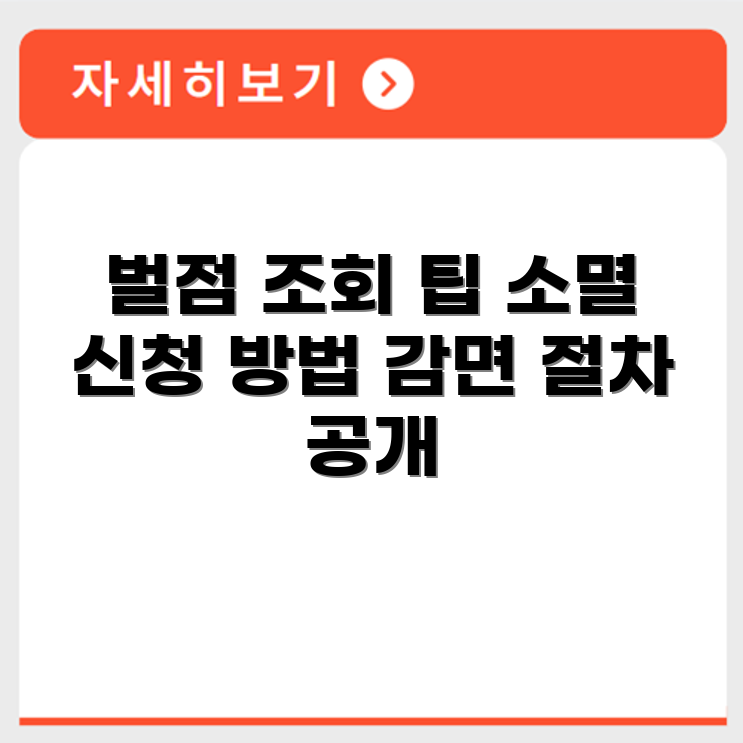 운전면허 벌점 조회 방법과 벌점 소멸 및 감면 신청 절차