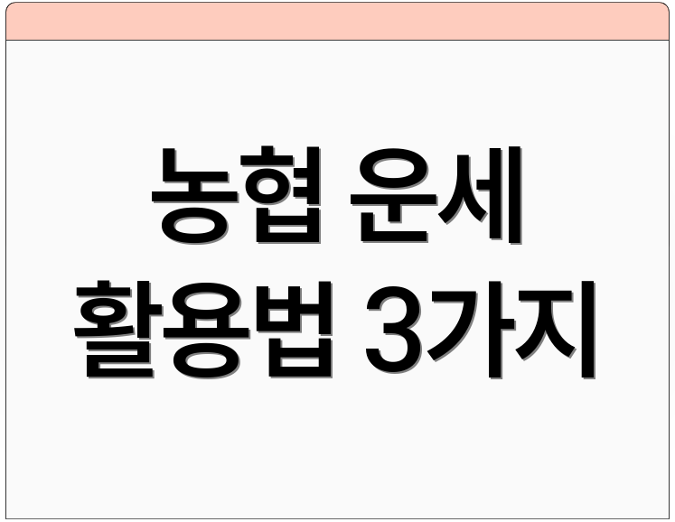 농협 운세 활용법 3가지