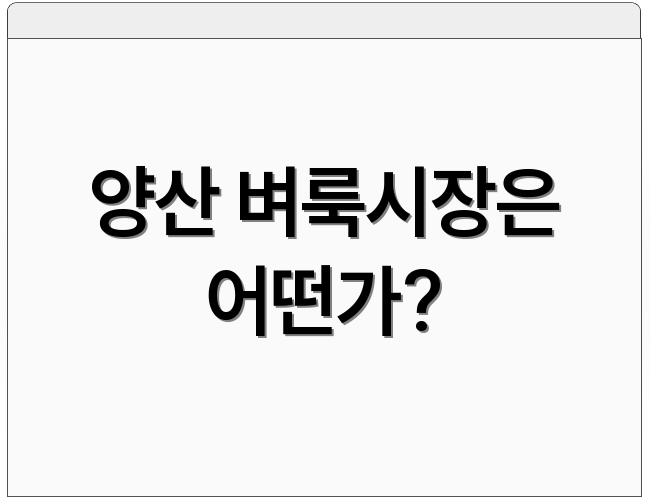 양산 벼룩시장은 어떤가?