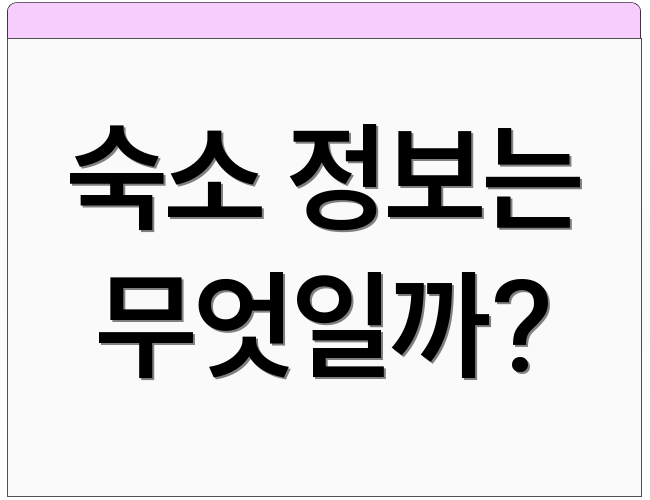 숙소 정보는 무엇일까?