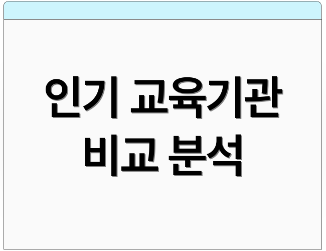 인기 교육기관 비교 분석