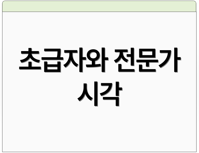 초급자와 전문가 시각