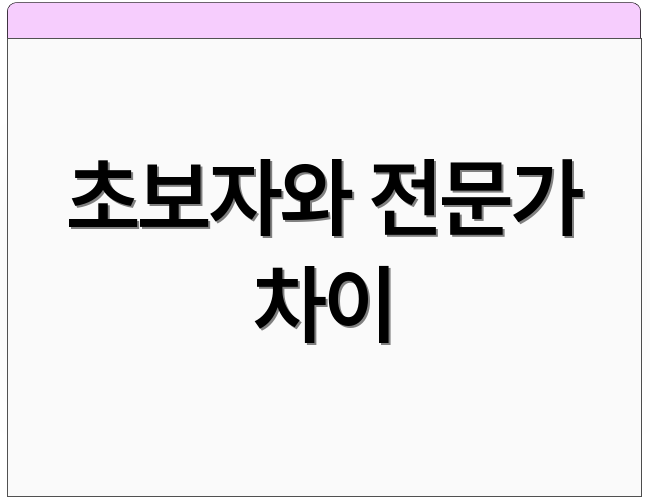 초보자와 전문가 차이