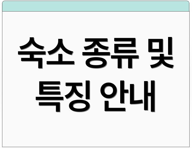 숙소 종류 및 특징 안내