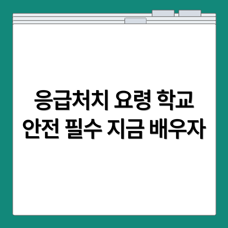 학생 응급처치 교육 초중고 학교 안전수칙과 필수 수강정보 확인