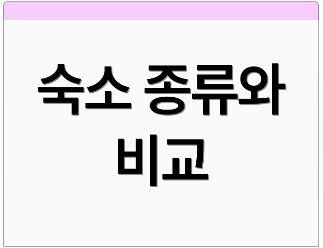 숙소 종류와 비교