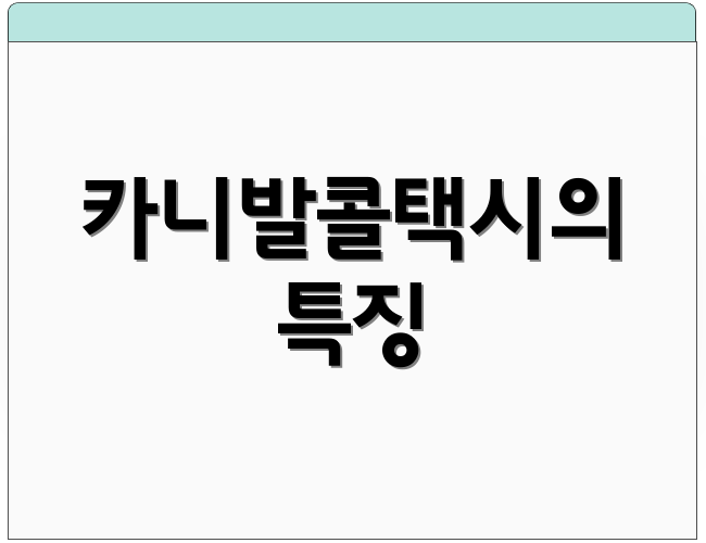 카니발콜택시의 특징