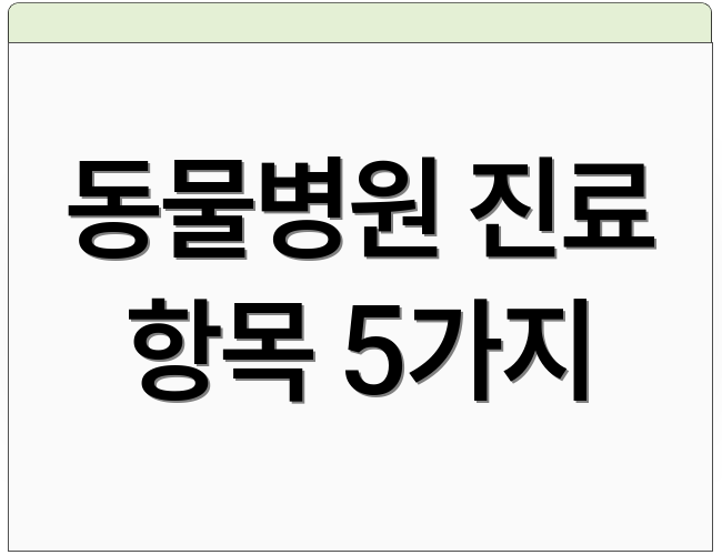 동물병원 진료 항목 5가지