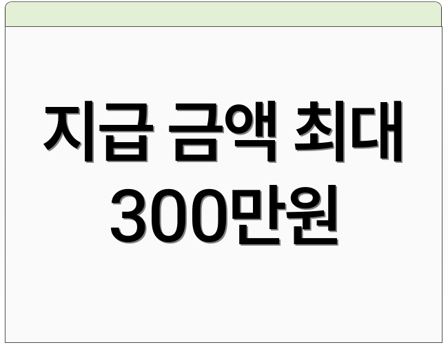 지급 금액 최대 300만원