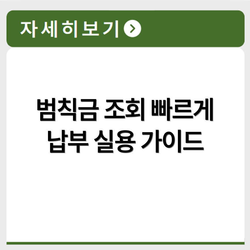 교통 범칙금 빠르게 조회하고 납부하는 실용 가이드