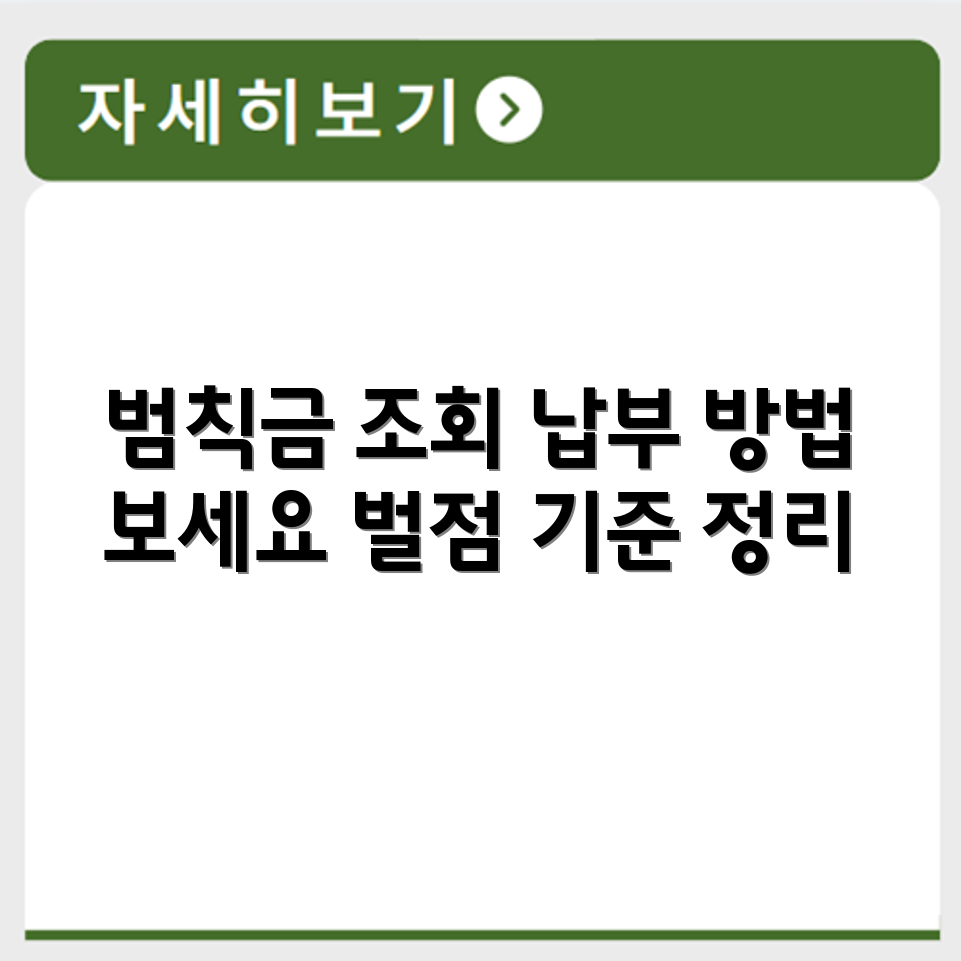 교통 범칙금 조회 및 납부 방법과 벌점 기준 정리
