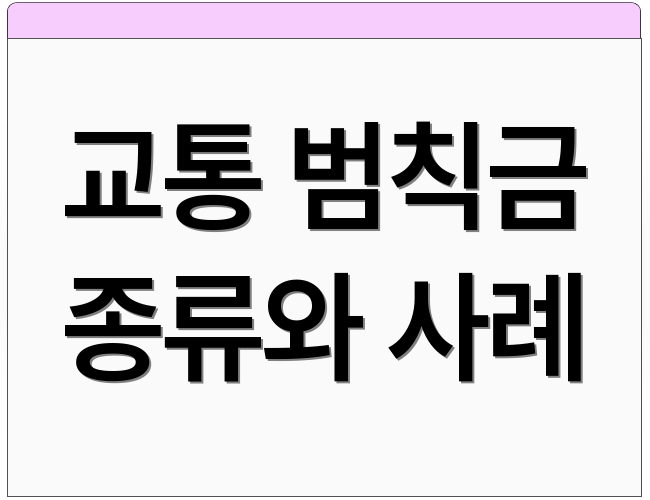 교통 범칙금 종류와 사례