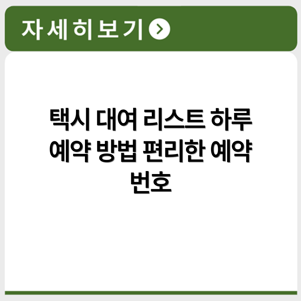 택시 하루 대여 가능 차량 리스트와 예약번호 정리