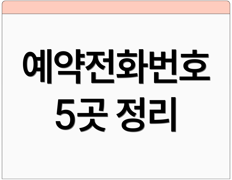 예약전화번호 5곳 정리
