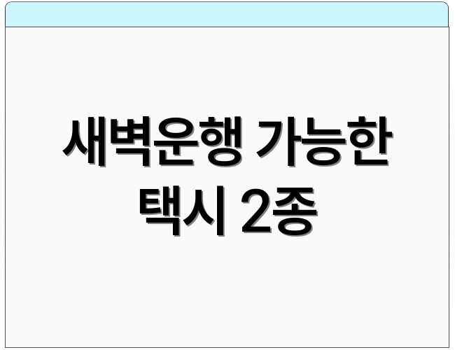 새벽운행 가능한 택시 2종