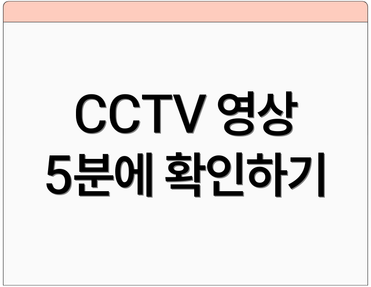 CCTV 영상 5분에 확인하기